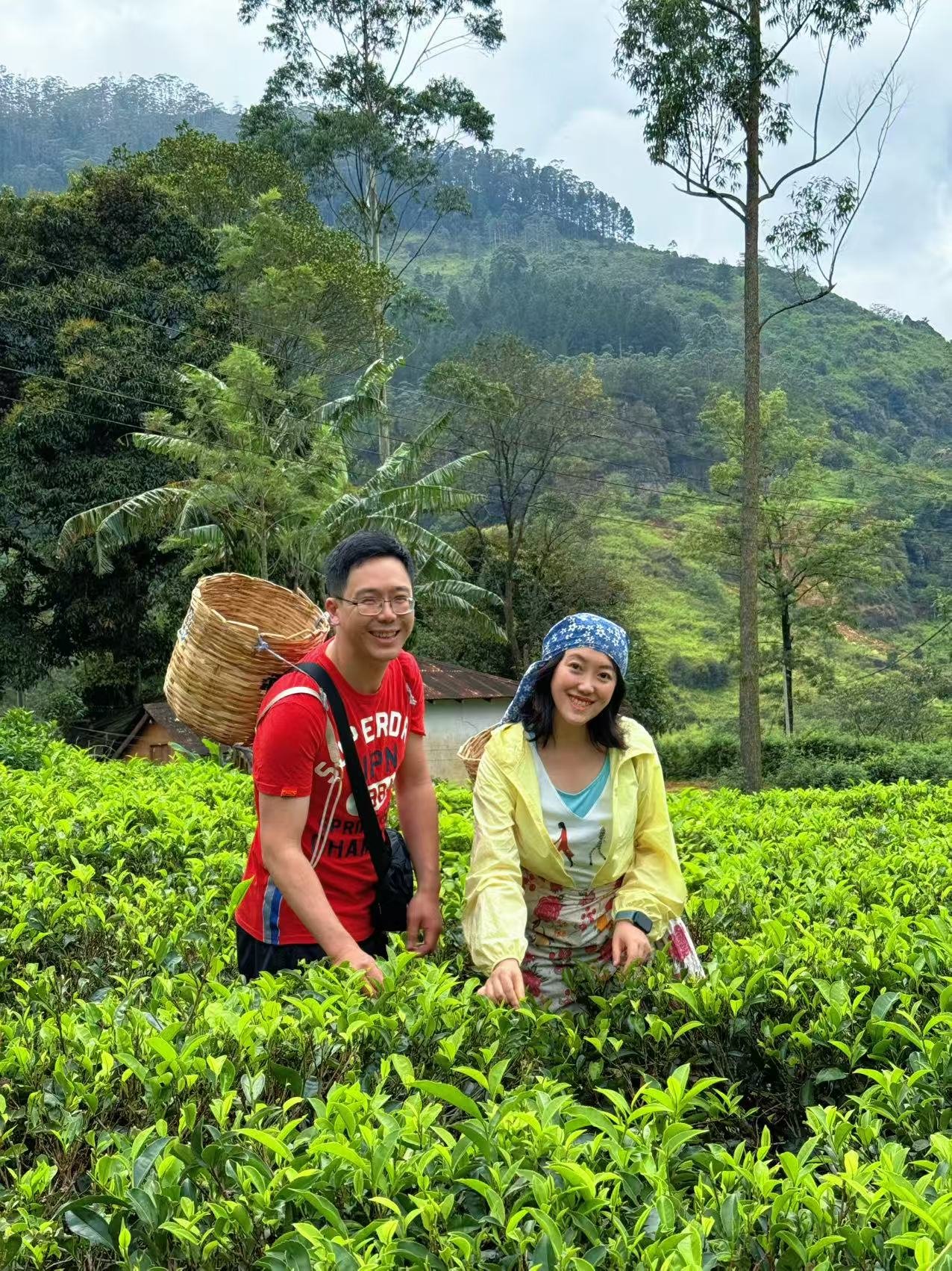 Ceylon Vintage Tours | Letting the island spirit take the wheel